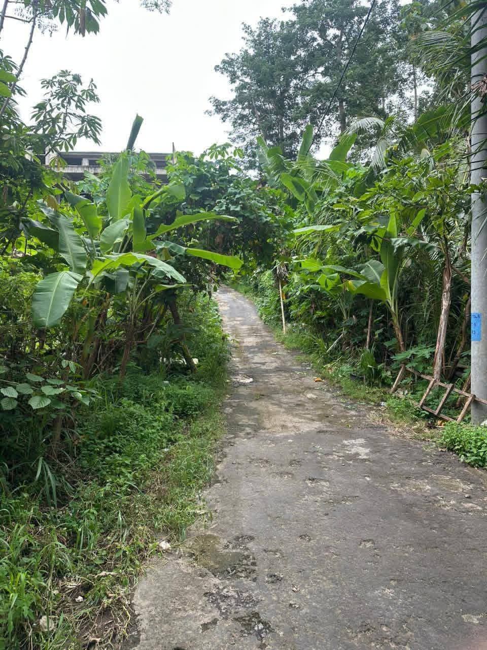 IMG-20260504-WA0022